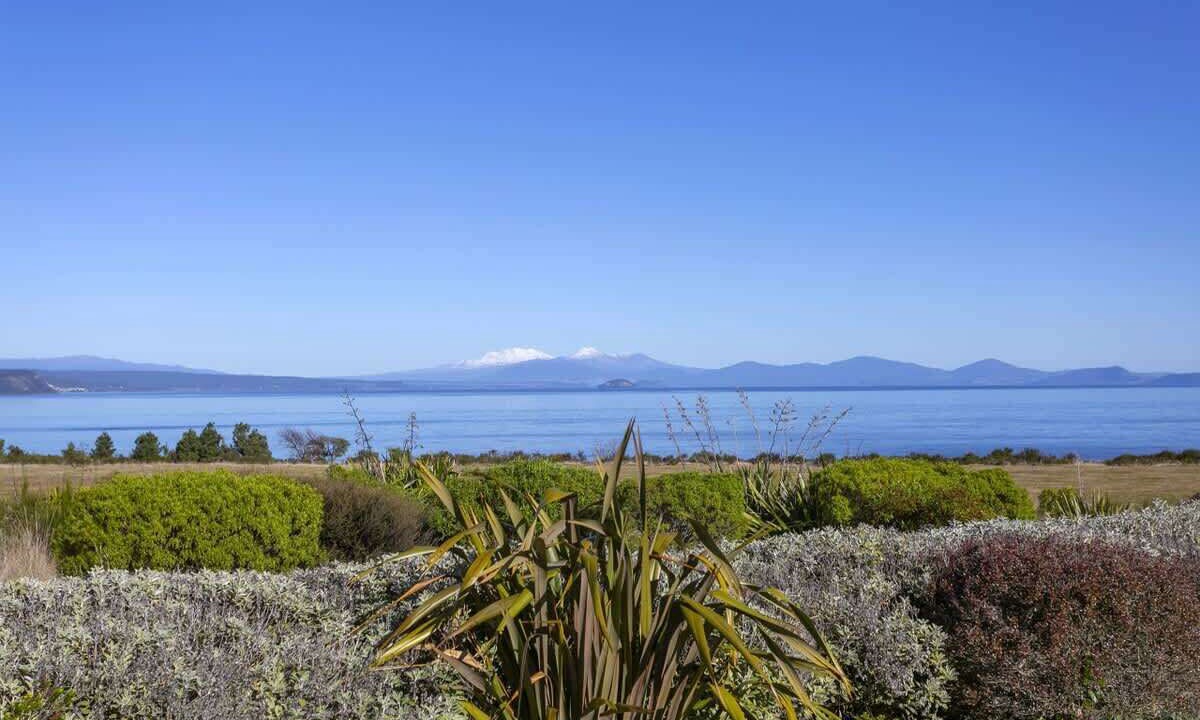 Photo of Others in Wharewaka