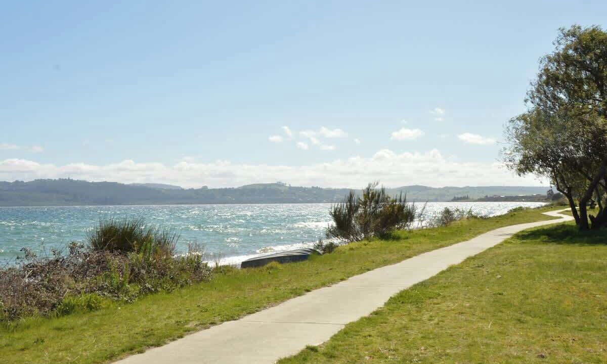 Photo of Others in Waitahanui