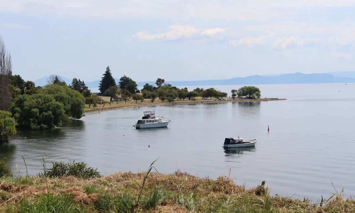 Photo of Others in Wharewaka