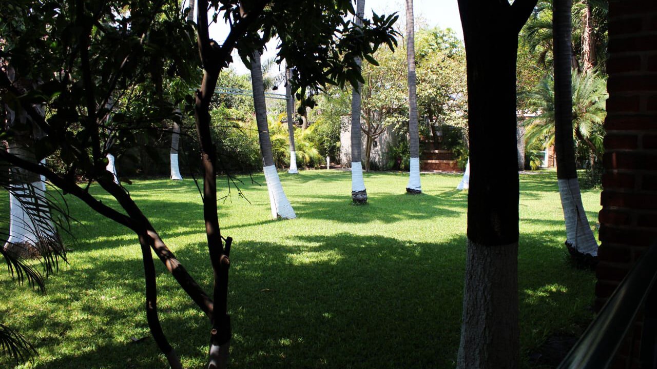 Photo of Outdoor in Chiconcuac