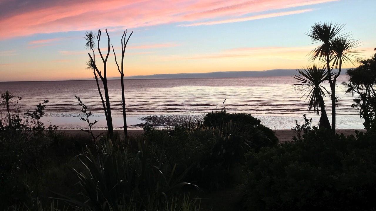 Photo of Others in Pakawau