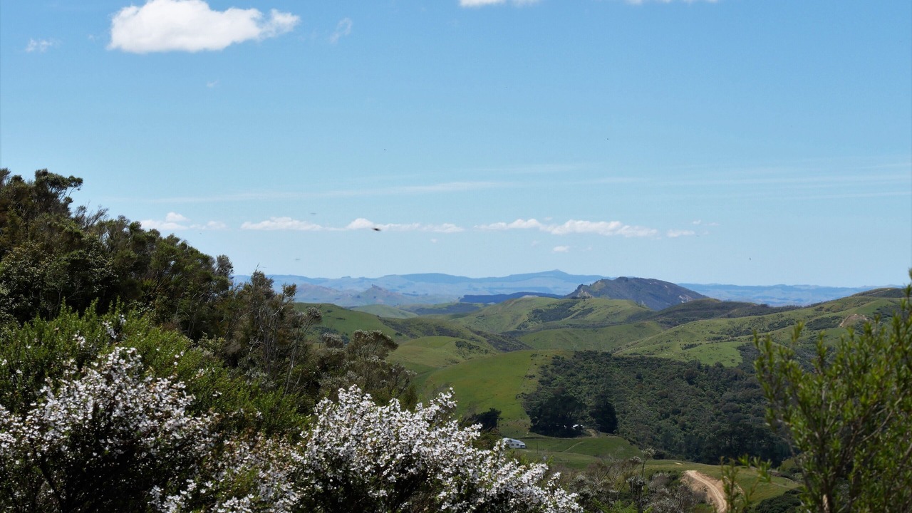 Photo of Outdoor in Tararua District