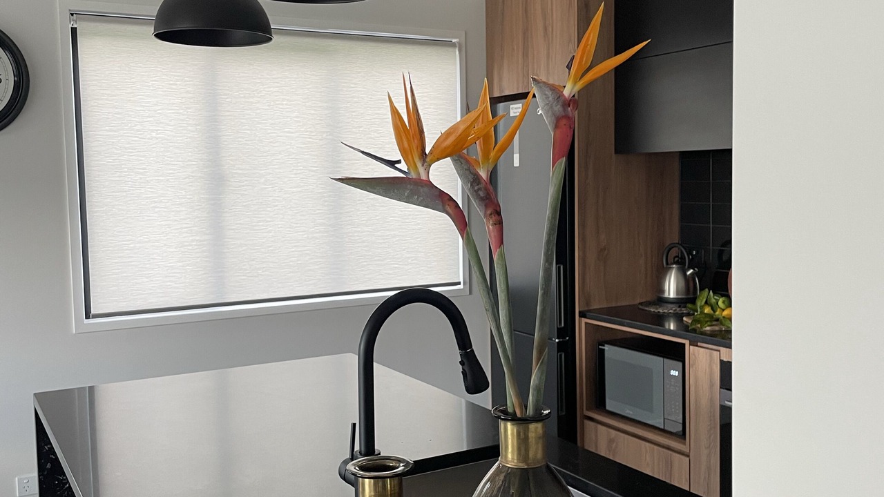 Photo of Kitchen in Swanson