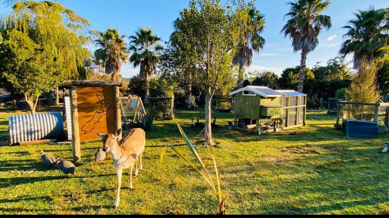 Photo of Outdoor in Whakamarama