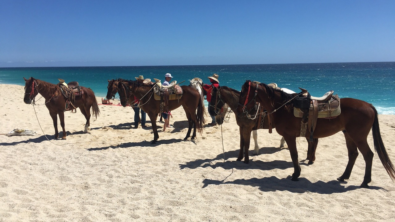 Photo of Others in El Rosarito