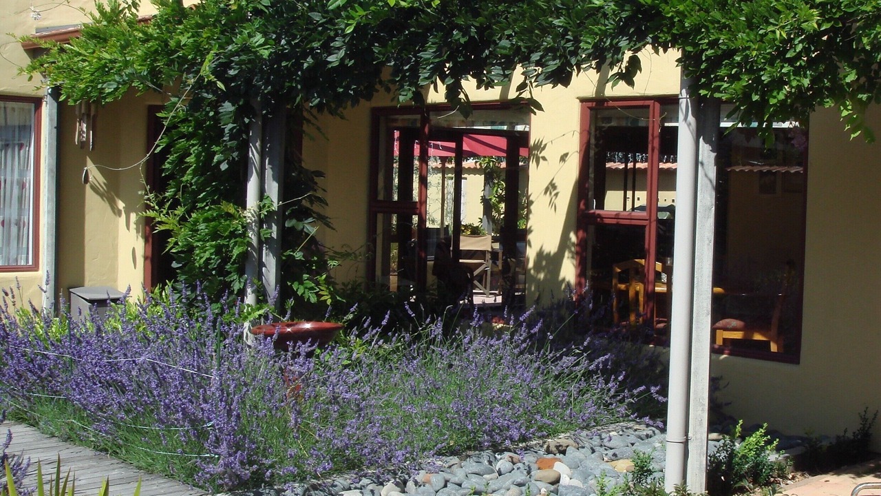 Photo of Patio Balcony in Tawharanui
