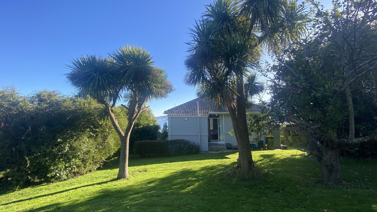 Photo of Outdoor in Dunedin