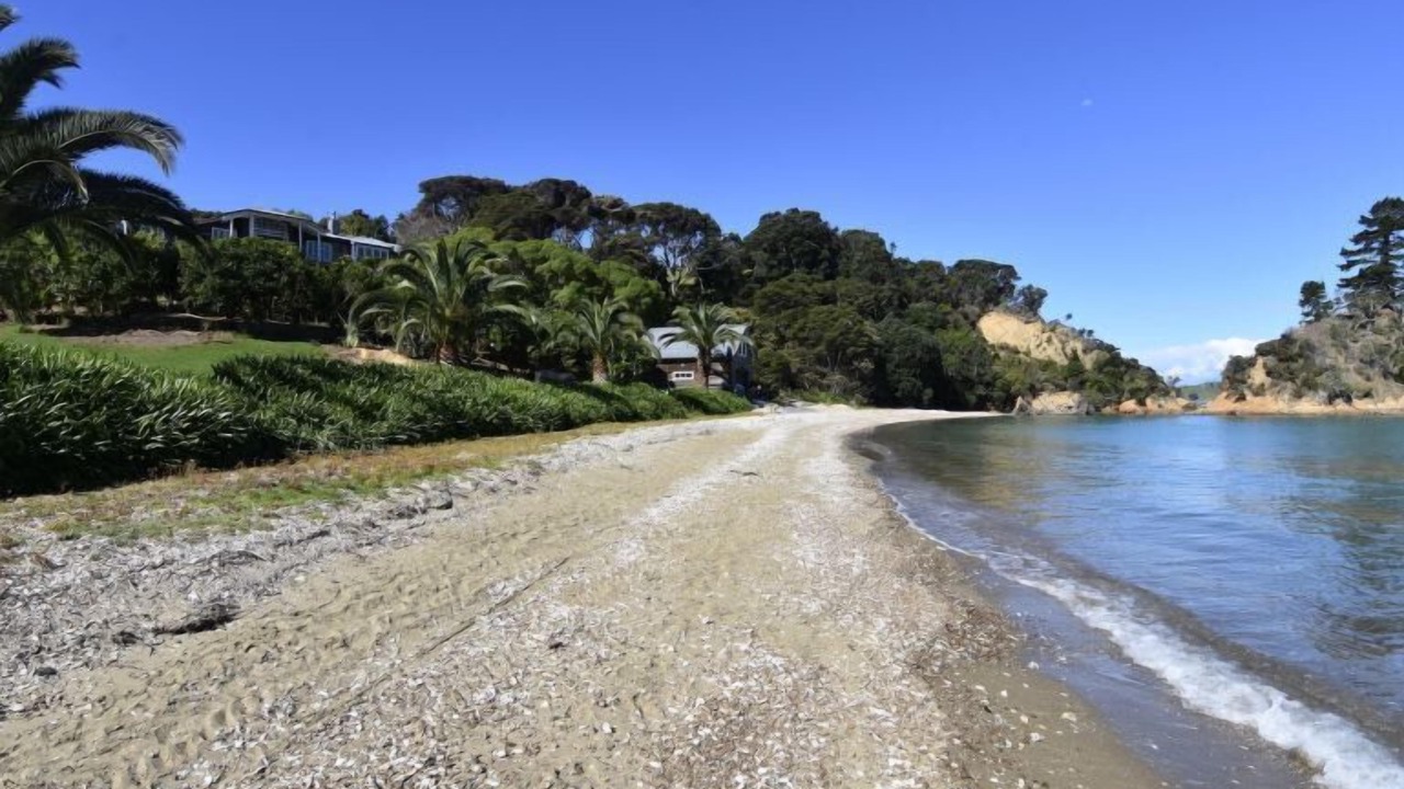 Photo of Others in Waiheke Island