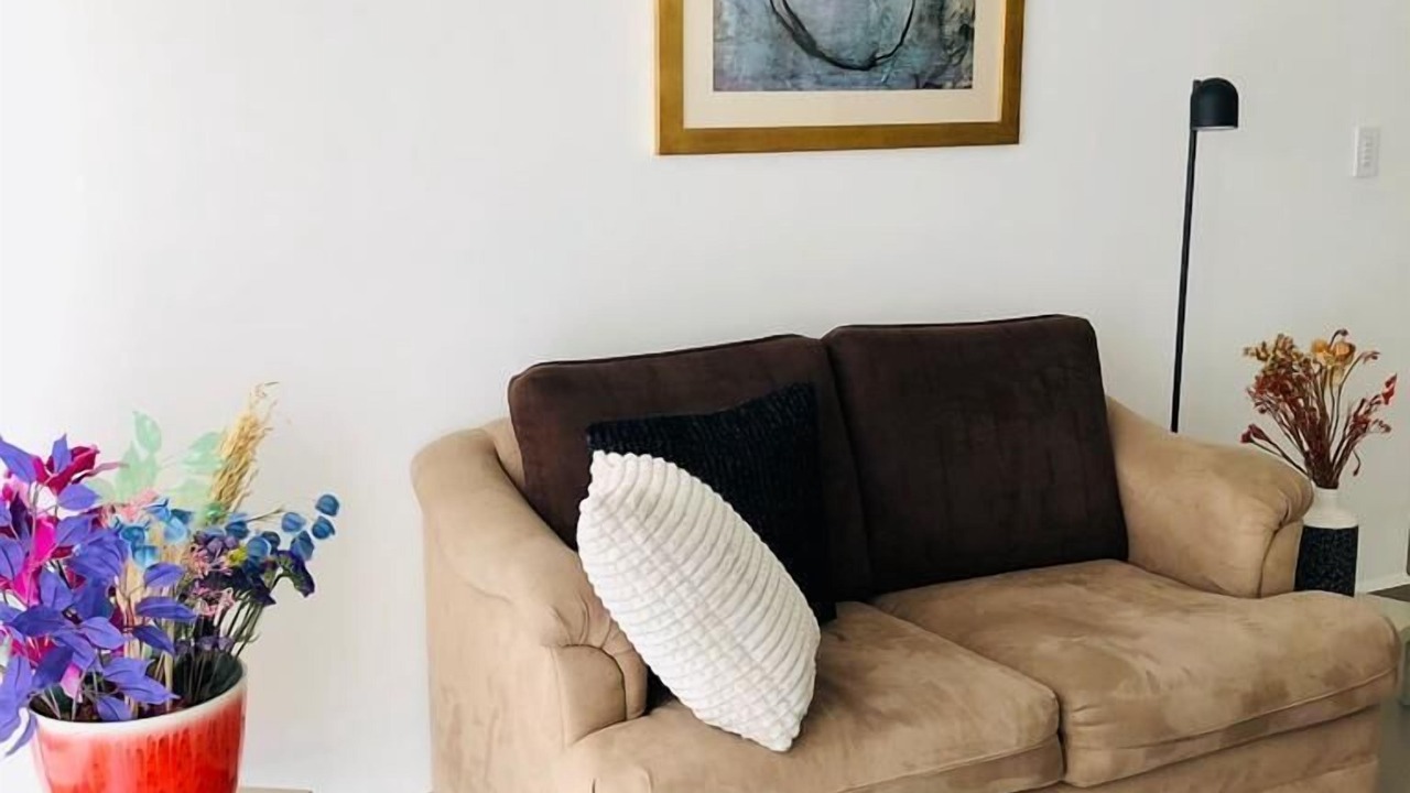 Photo of Livingroom in Coyoacan