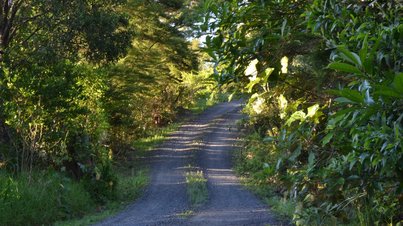 Photo of Outdoor in Te Mata