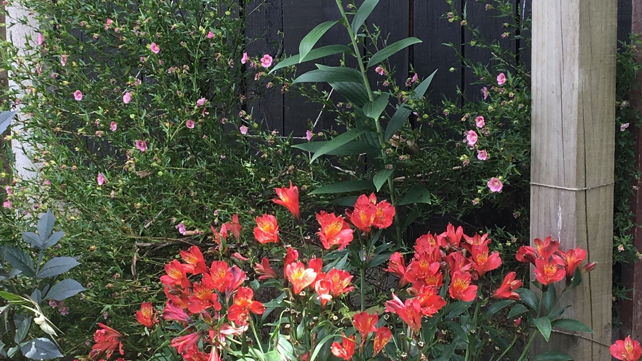 Photo of Outdoor in Springfield