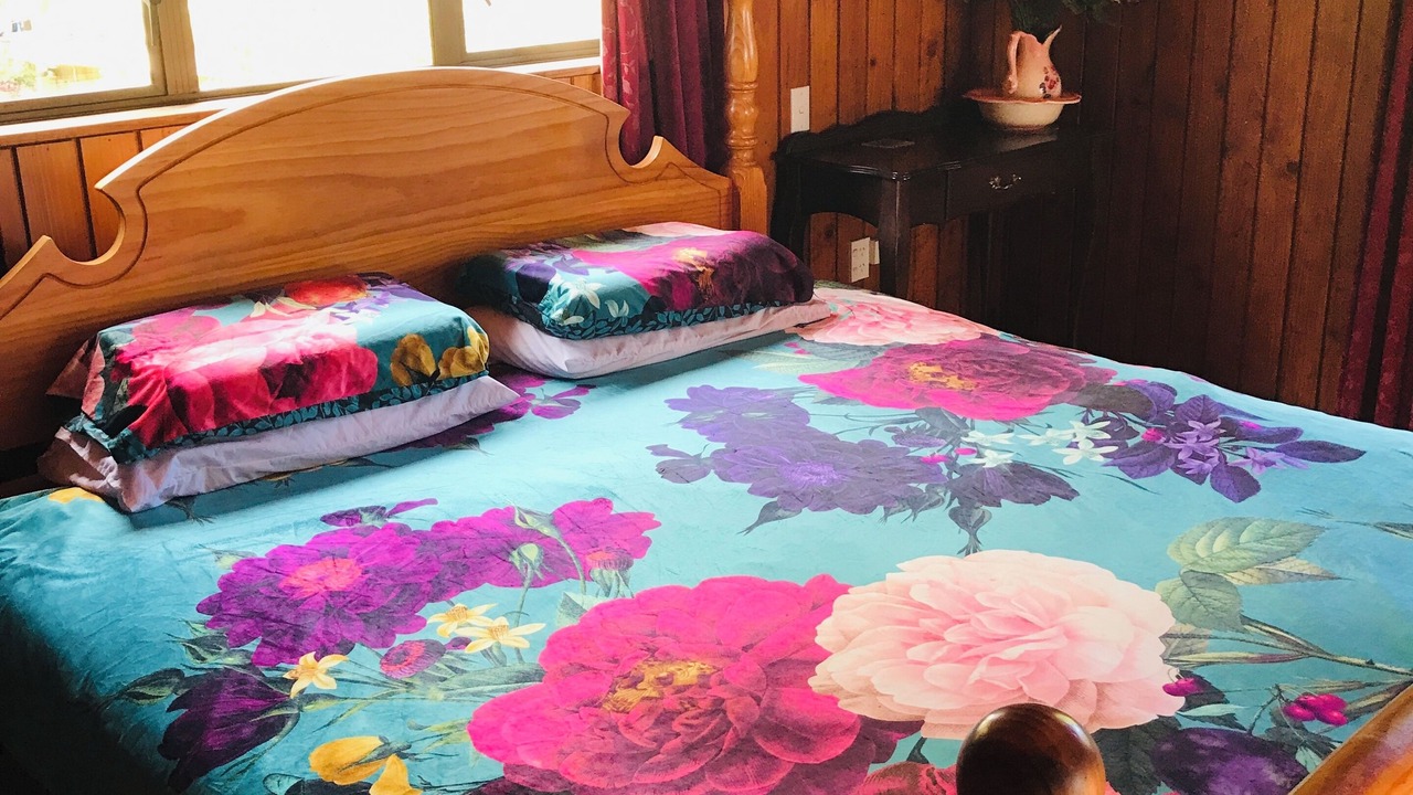 Photo of Bedroom in Kaitaia