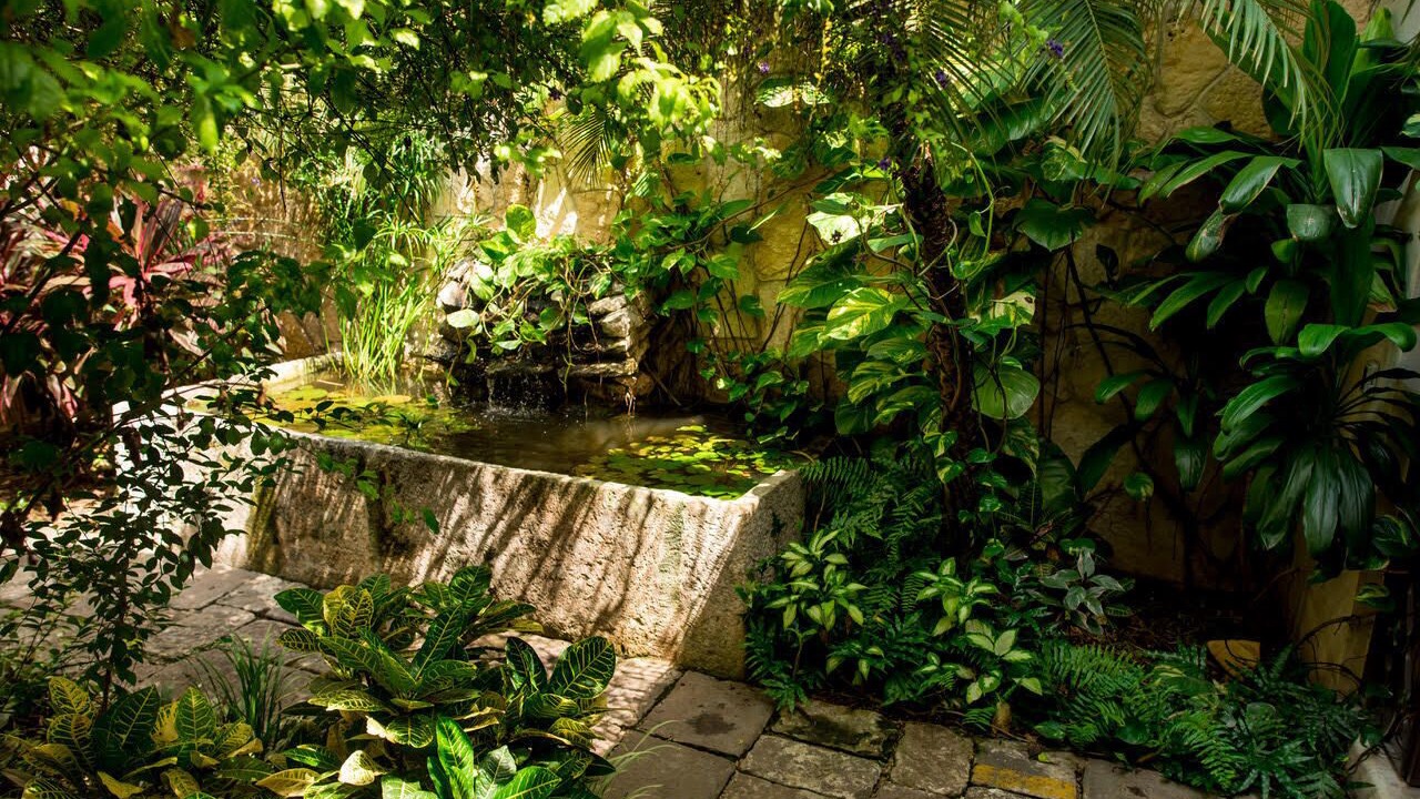Photo of Outdoor in Barrio de Santiago