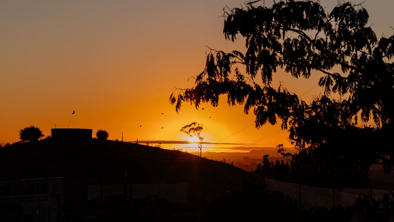 Photo of Outdoor in Western Bay of Plenty District