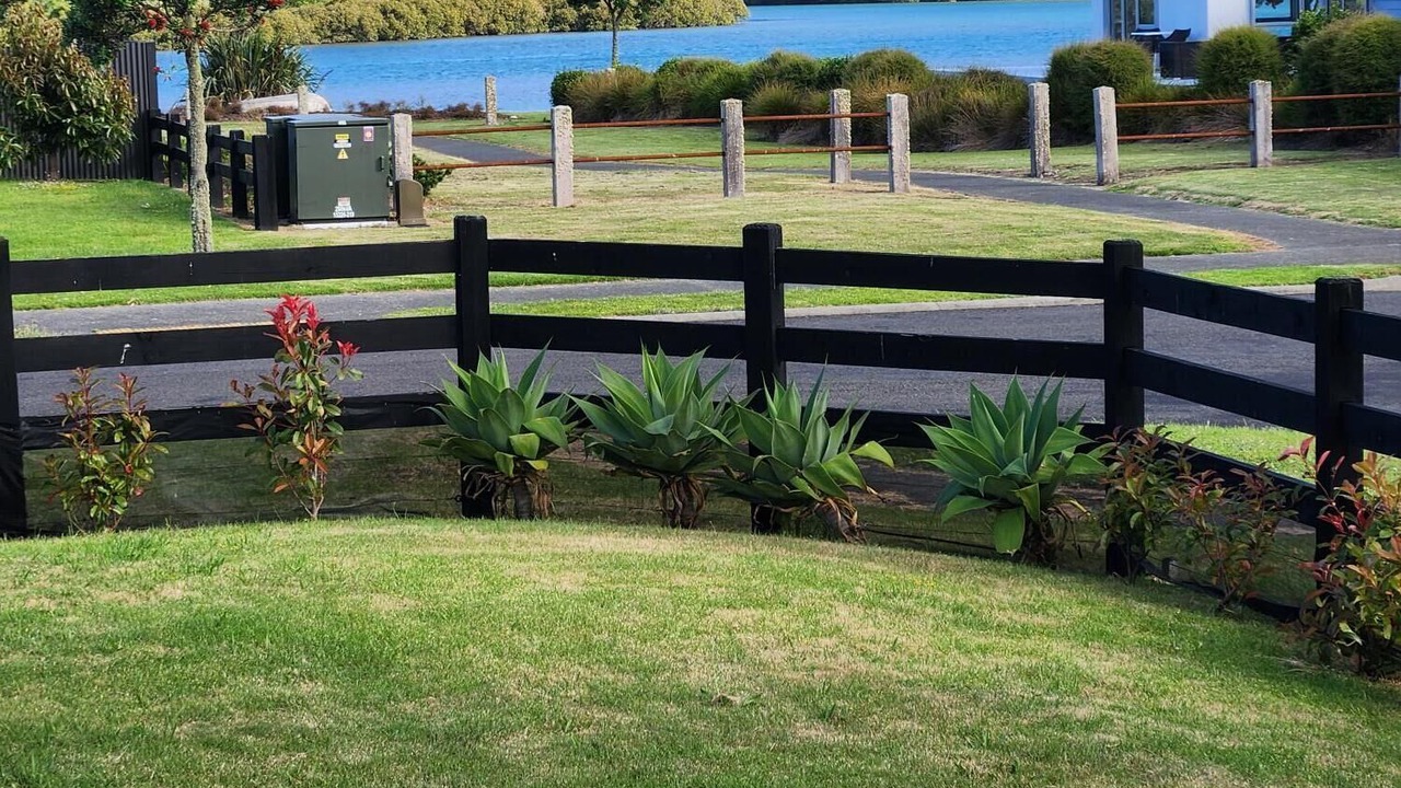 Photo of Outdoor in Cooks Beach