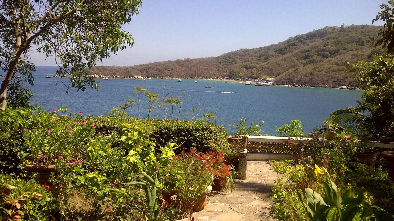 Photo of Others in Las Playas