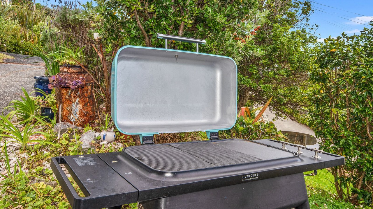 Photo of Outdoor in Waipu Cove