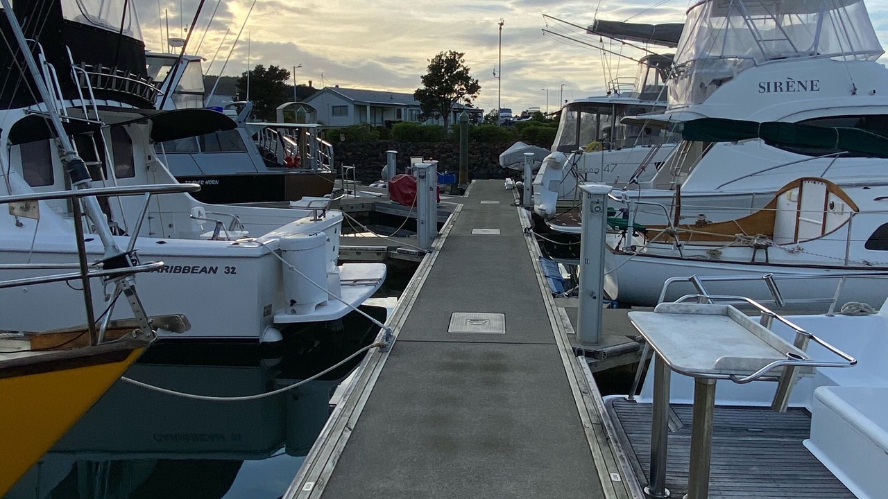 Photo of Others in Whangamata