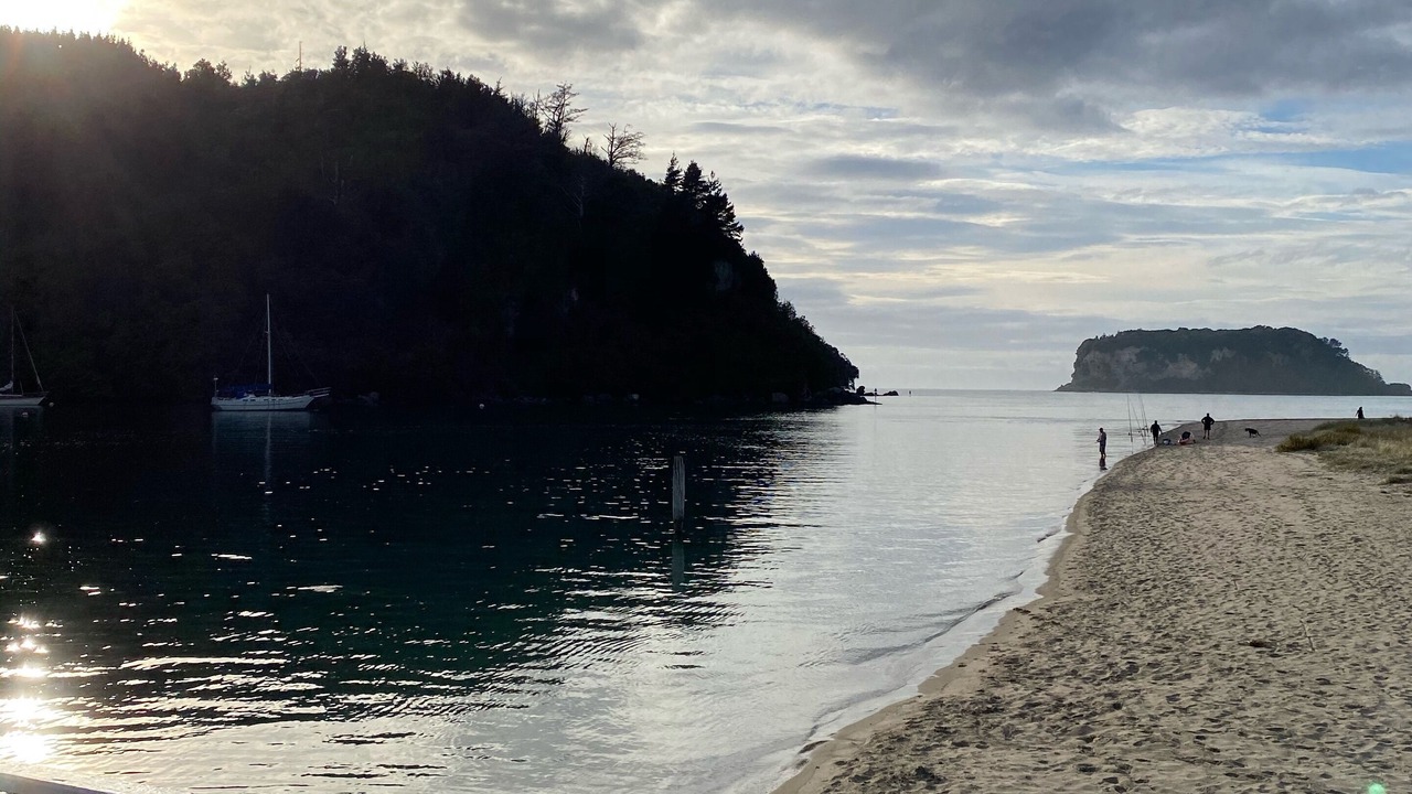 Photo of Others in Whangamata