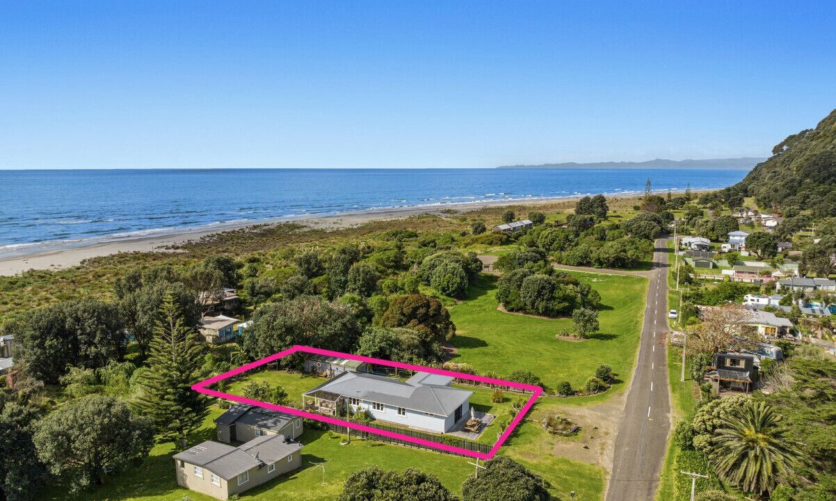 Photo of Outdoor in Waiotahi