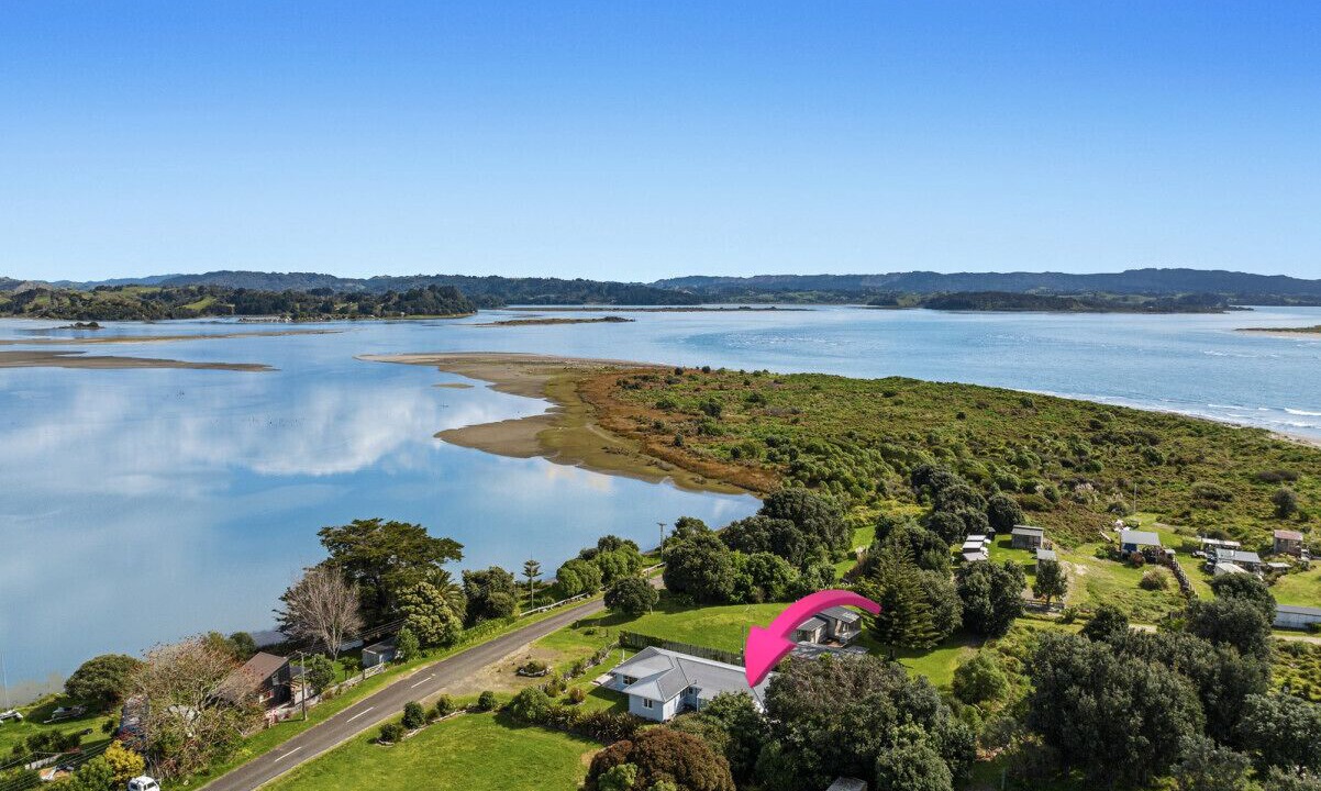 Photo of Outdoor in Waiotahi