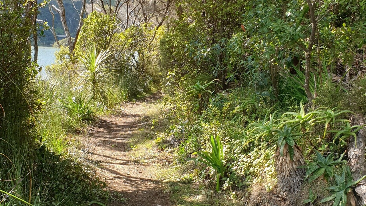 Photo of Others in Kawau Island