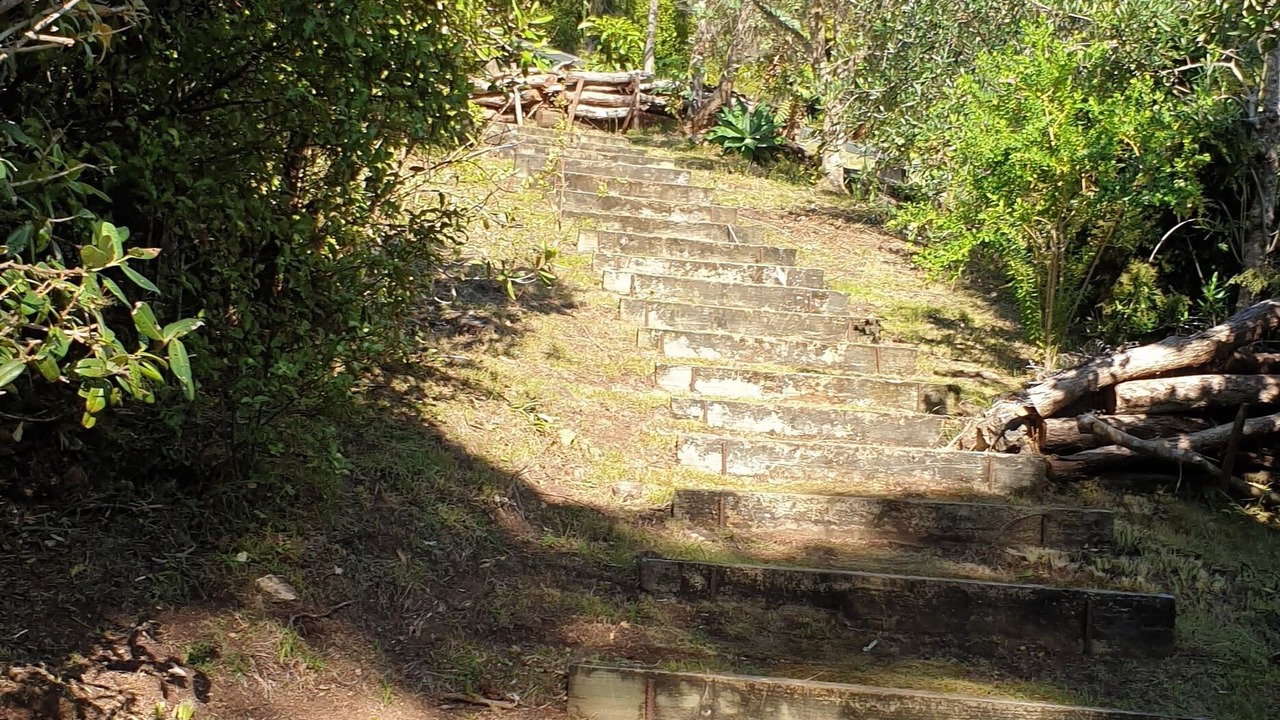 Photo of Others in Kawau Island