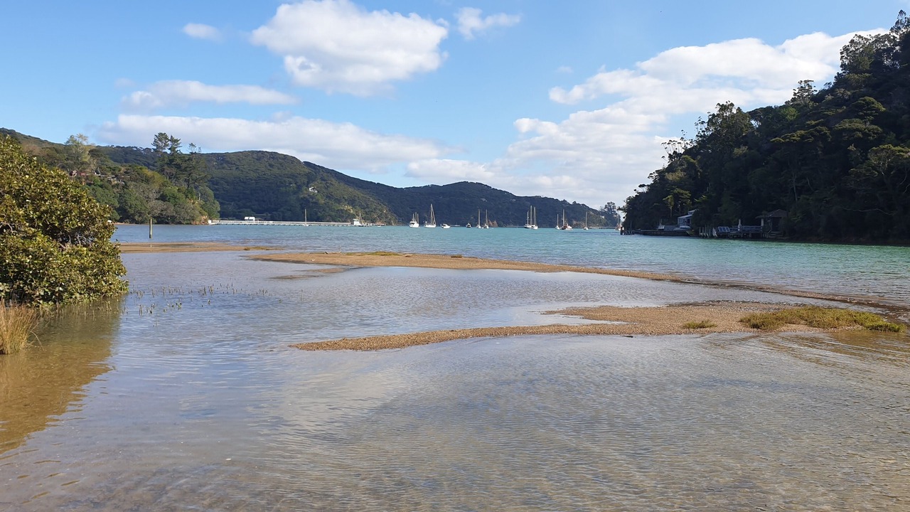 Photo of Others in Kawau Island