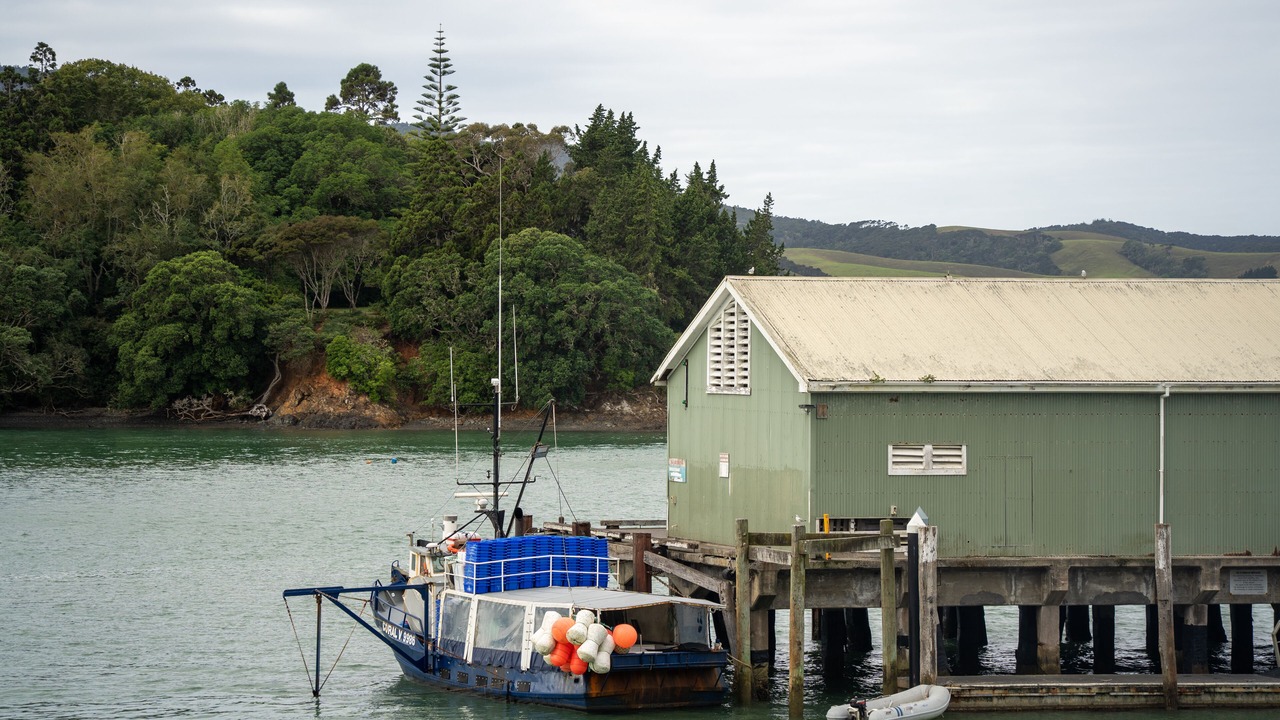 Photo of Outdoor in Mangonui