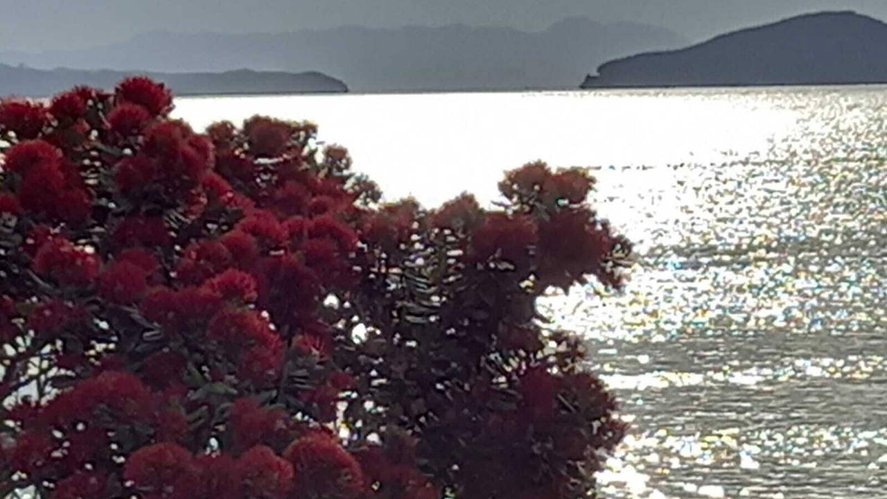 Photo of Others in Maraetai
