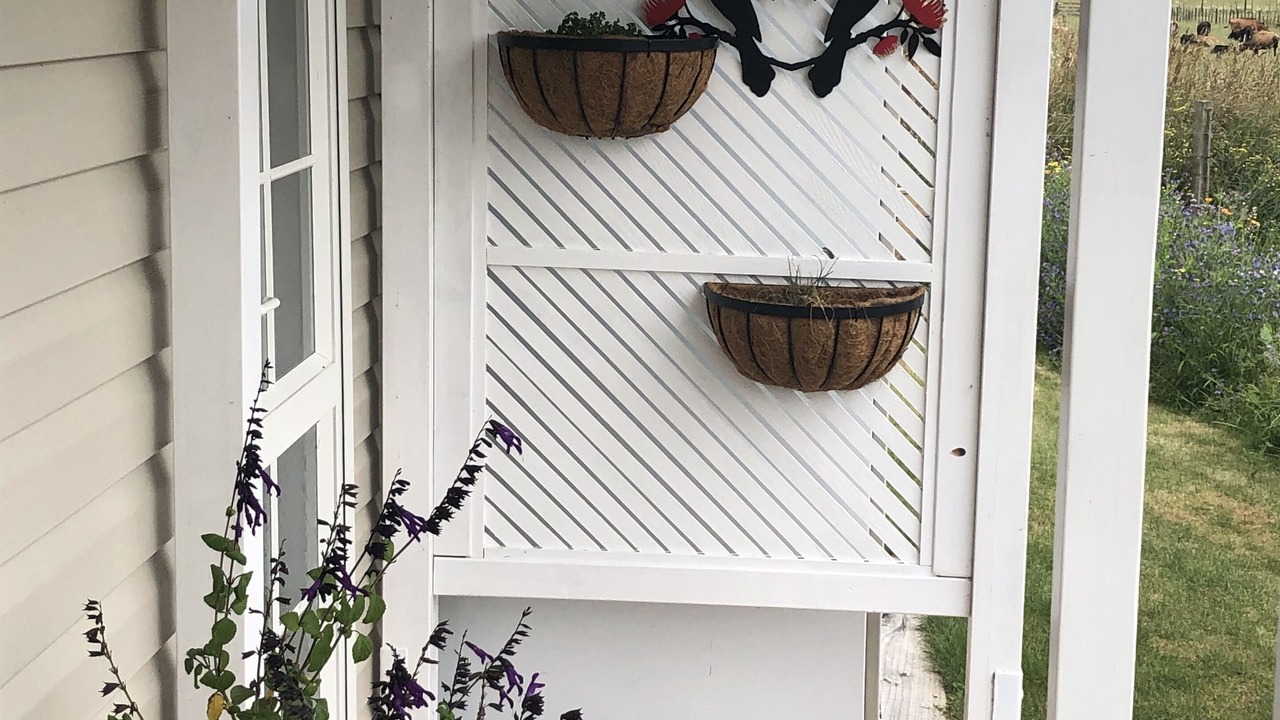 Photo of Outdoor in Pirongia