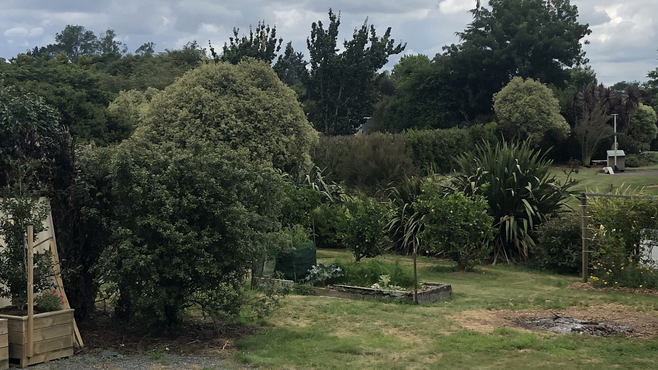 Photo of Outdoor in Pirongia