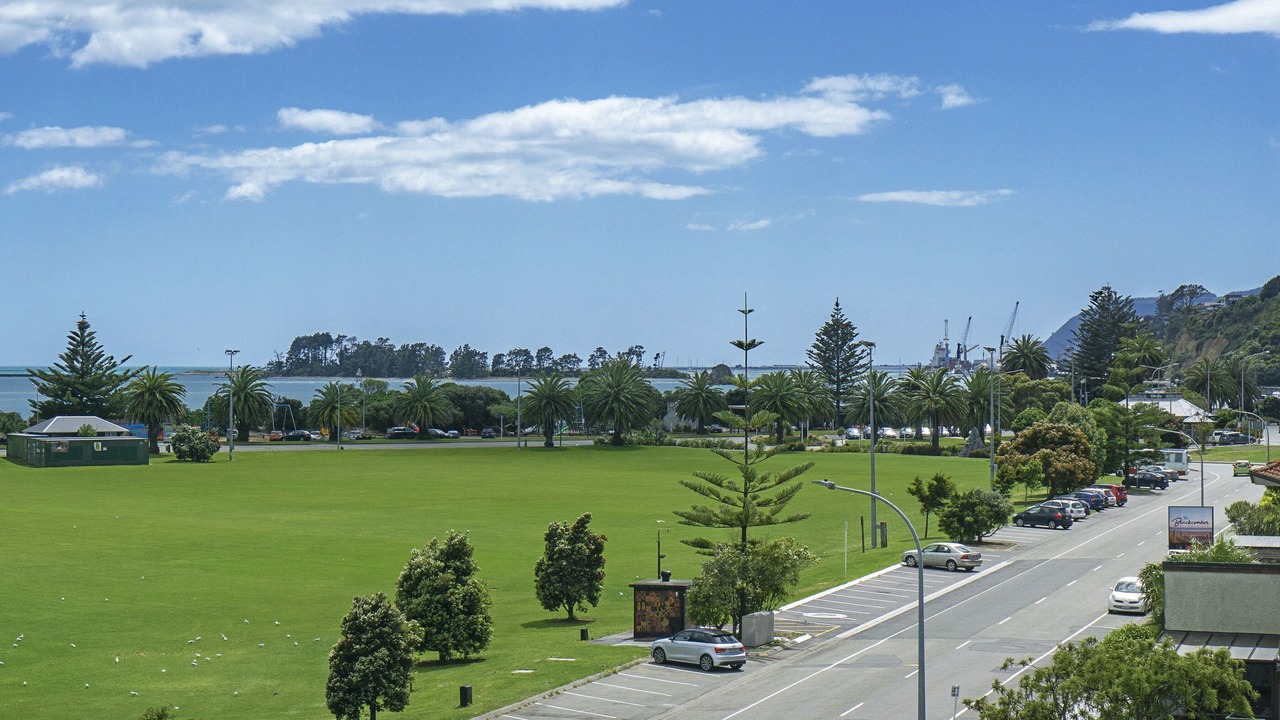 Photo of Others in Tahunanui