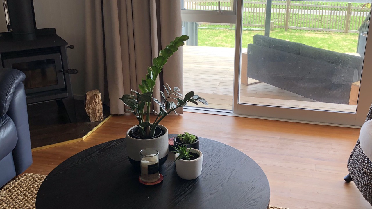 Photo of Livingroom in Raglan