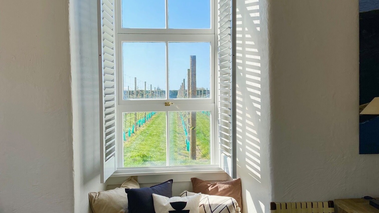 Photo of Livingroom in Havelock North
