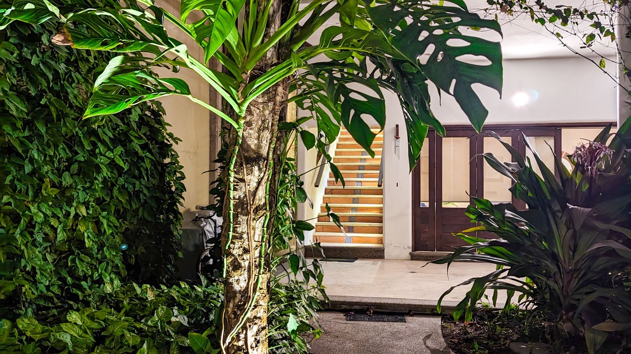 Photo of Outdoor in Lo de Marcos