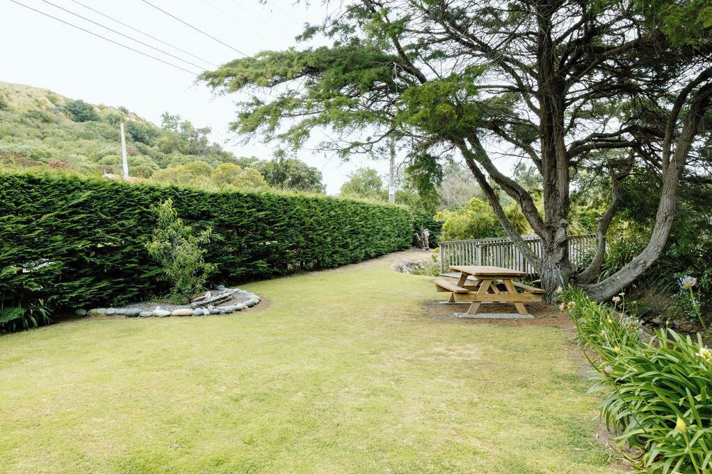 Photo of Others in Palliser Bay