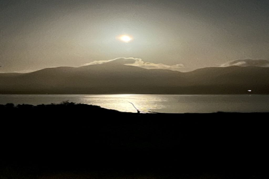 Photo of Outdoor in Palliser Bay