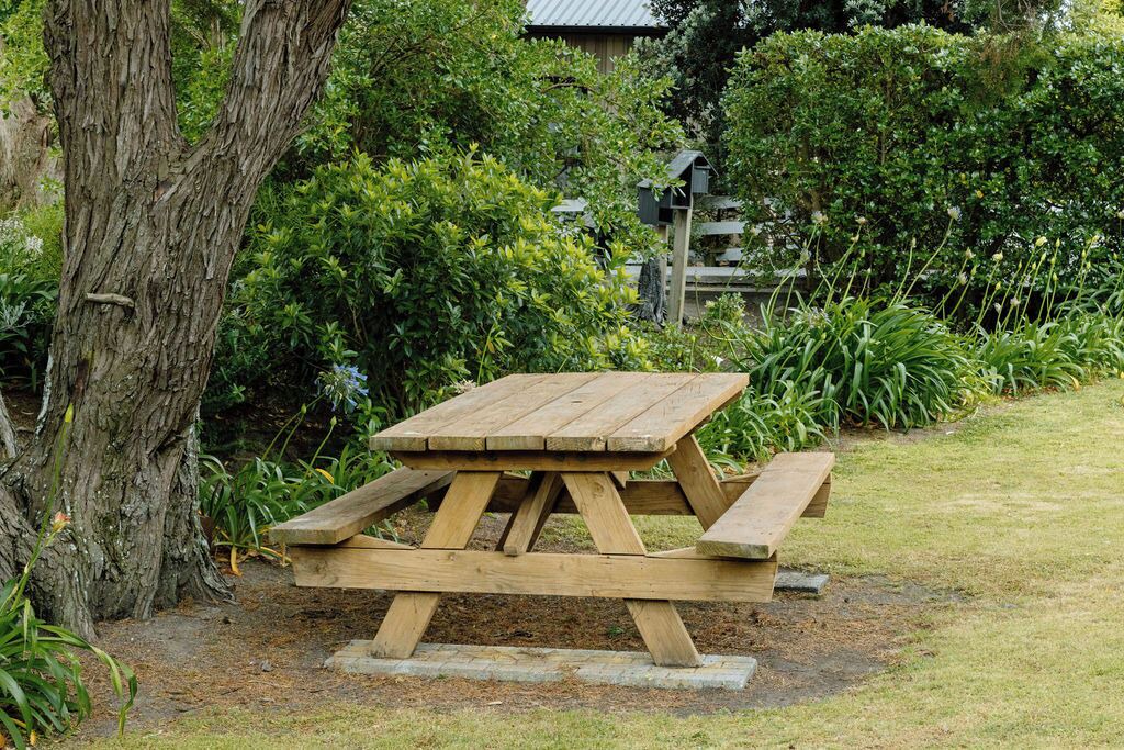 Photo of Outdoor in Palliser Bay