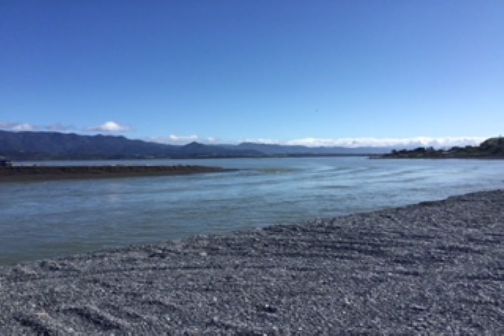 Photo of Outdoor in Palliser Bay