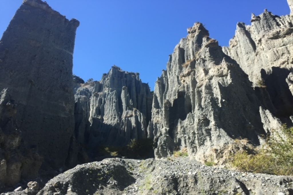 Photo of Others in Palliser Bay
