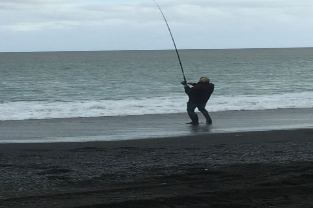 Photo of Others in Palliser Bay