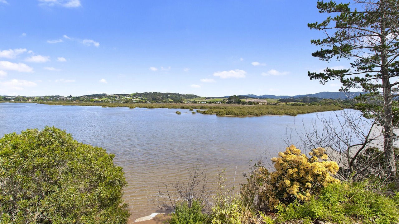 Photo of Outdoor in Mangawhai Heads