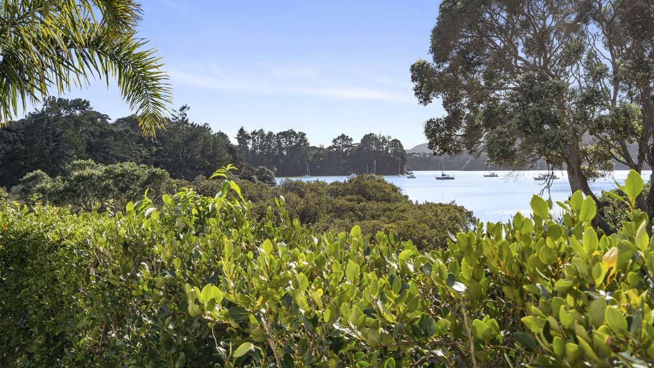 Photo of Outdoor in Whangaroa