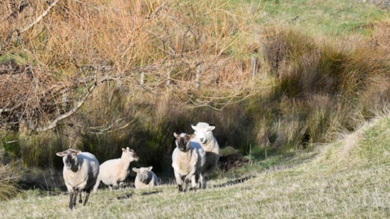 Photo of Others in Brighton