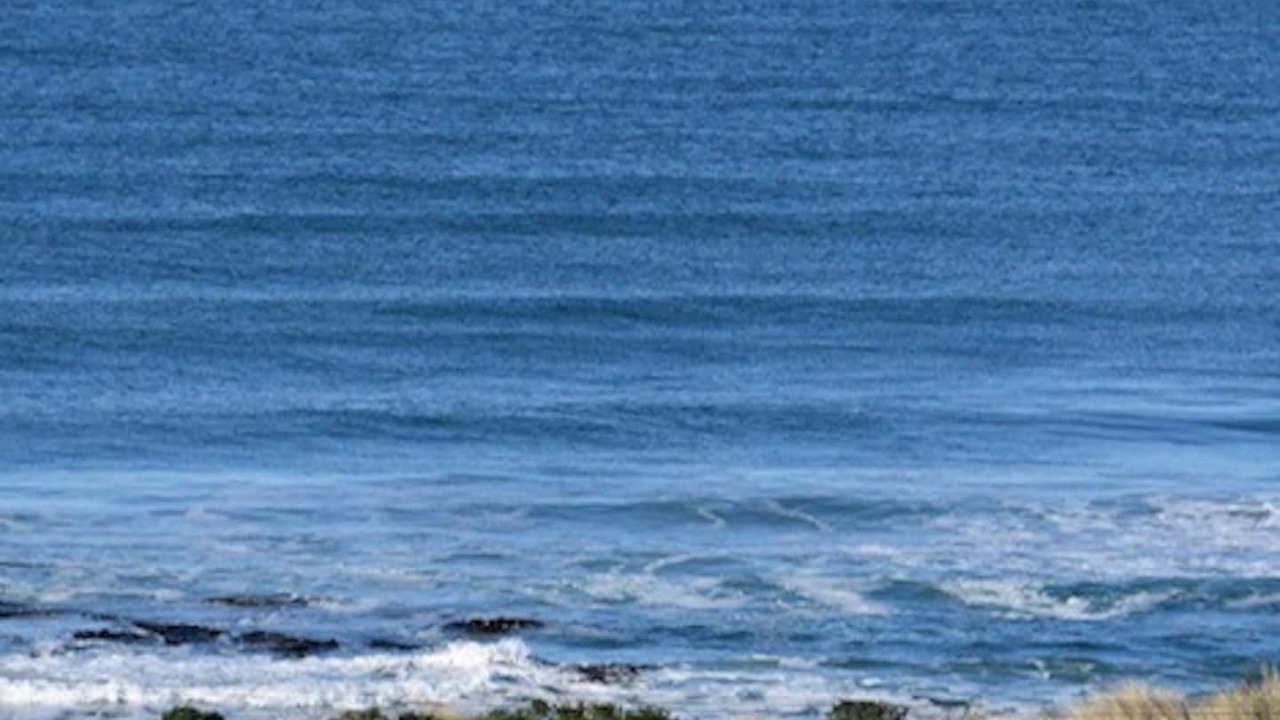 Photo of Others in Brighton