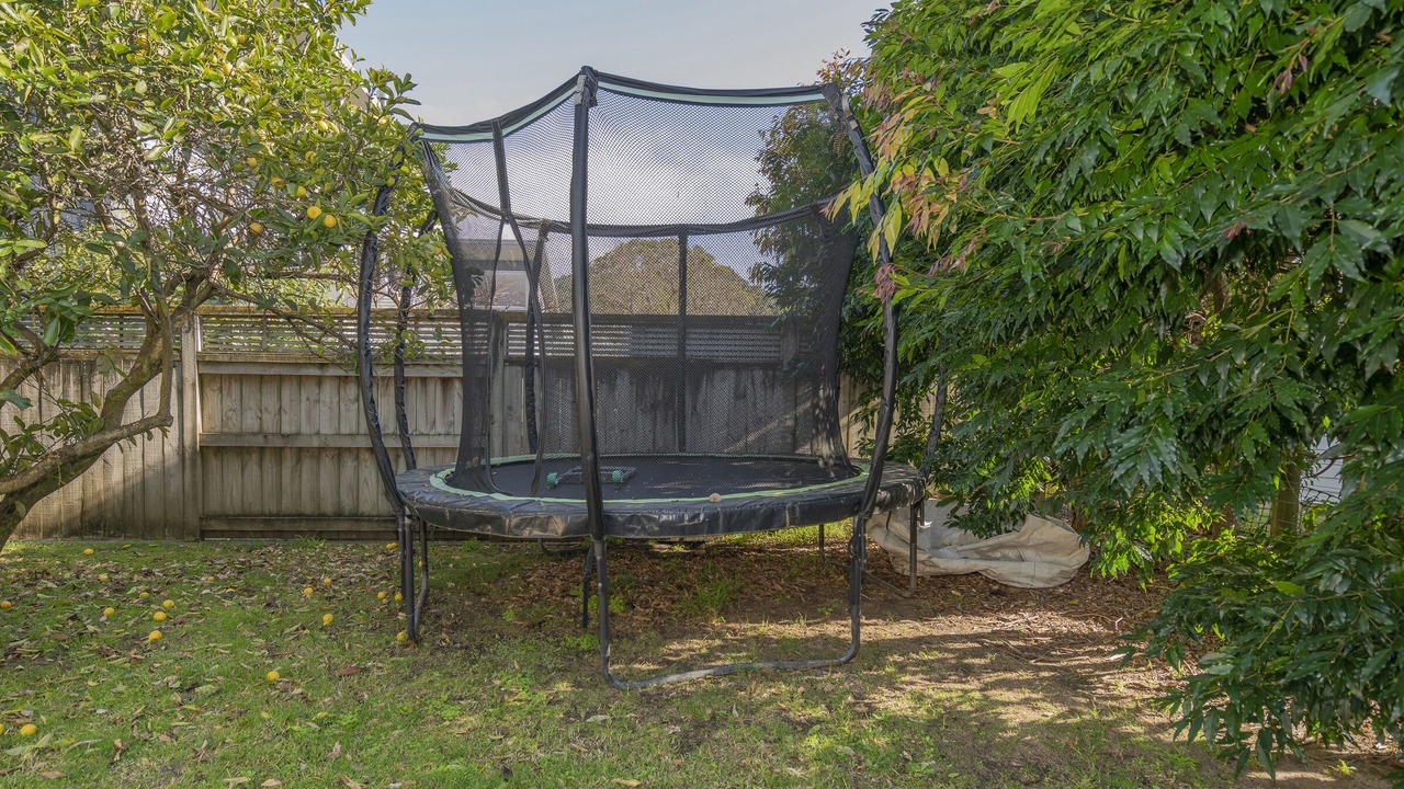 Photo of Outdoor in Hahei