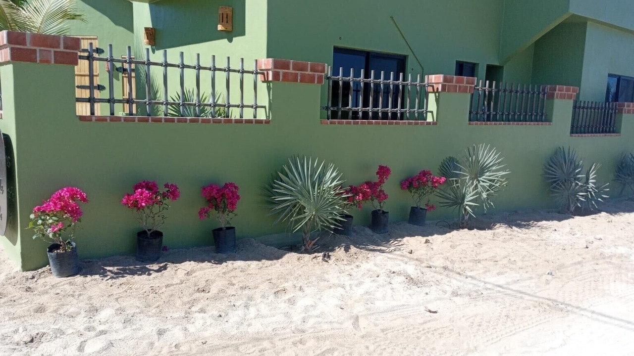 Photo of Others in Buenavista