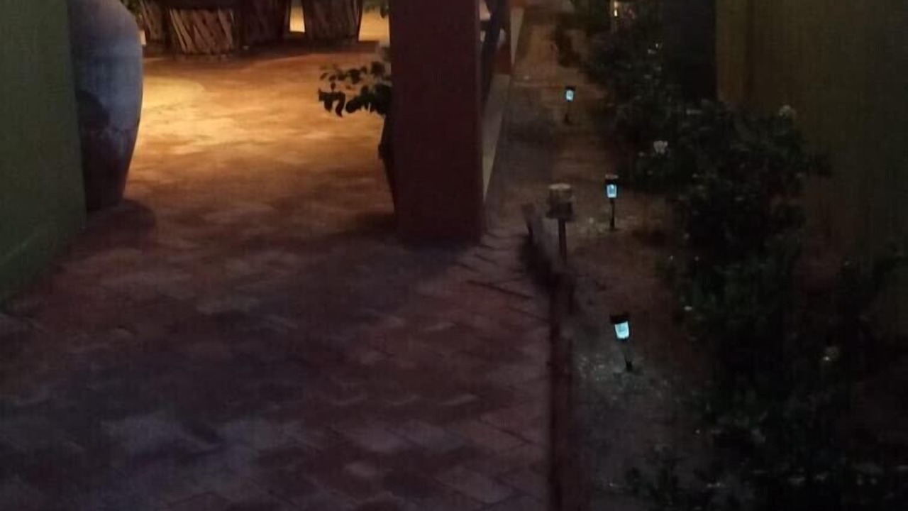 Photo of Others in Buenavista