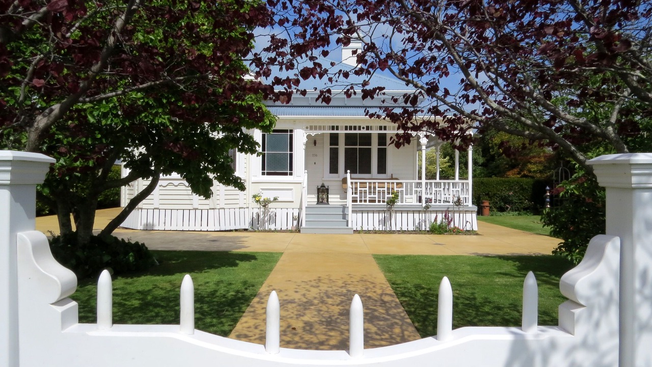 Photo of Others in Coromandel
